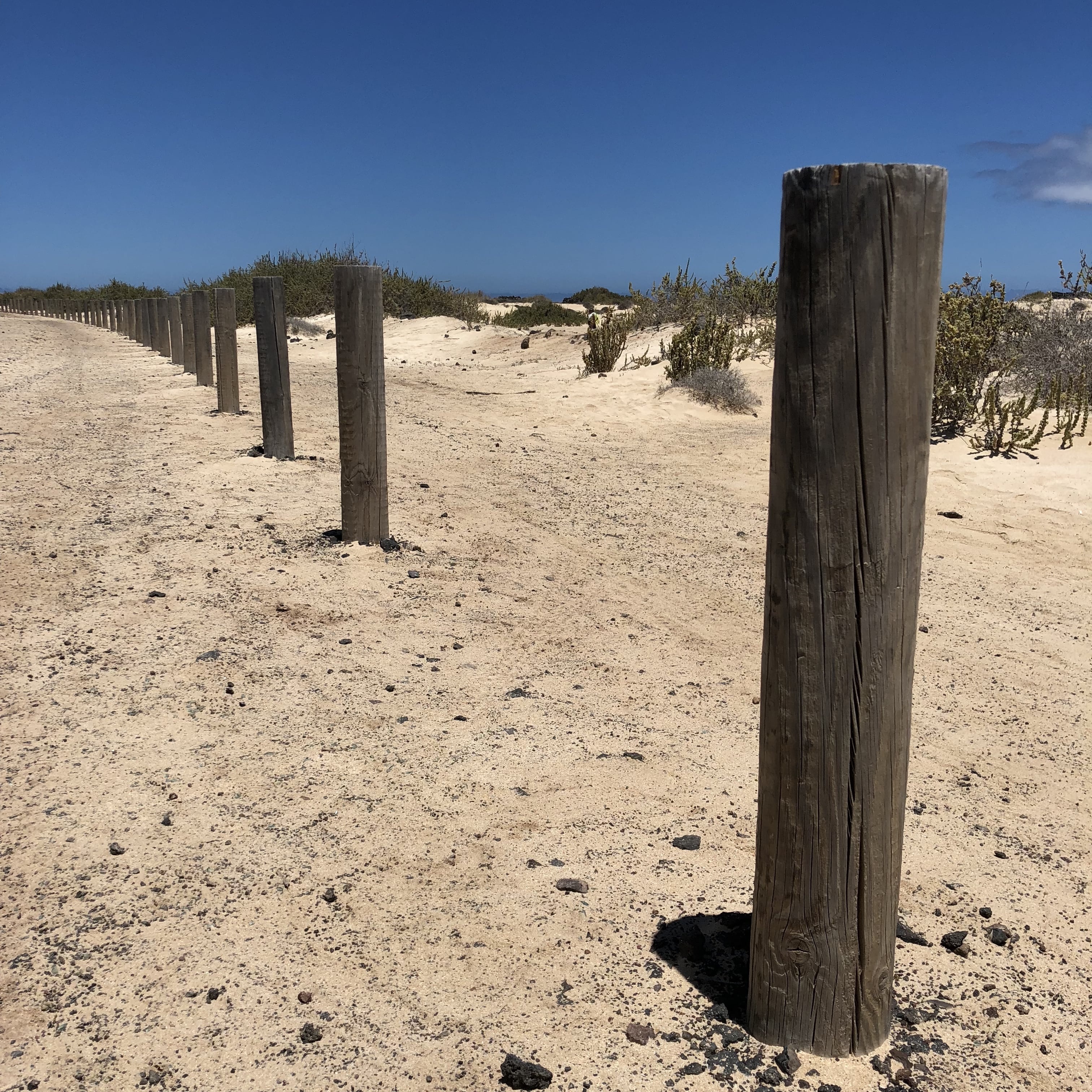 Instalación palos de madera