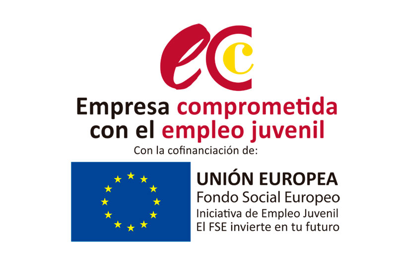 Wood Store ha sido beneficiaria del Fondo Social Europeo para mejorar la formación y empleo juvenil